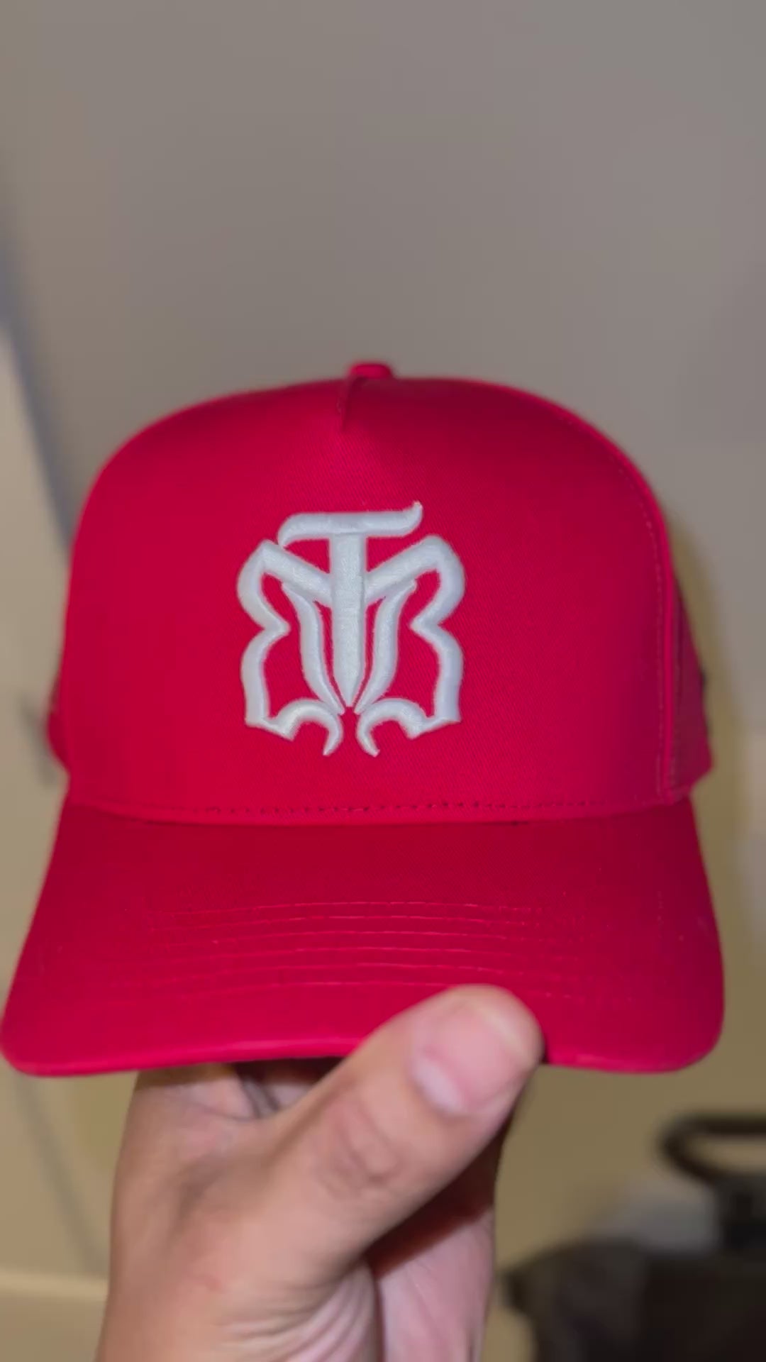 No Unity Without Diversity A-Frame Hat (Red)